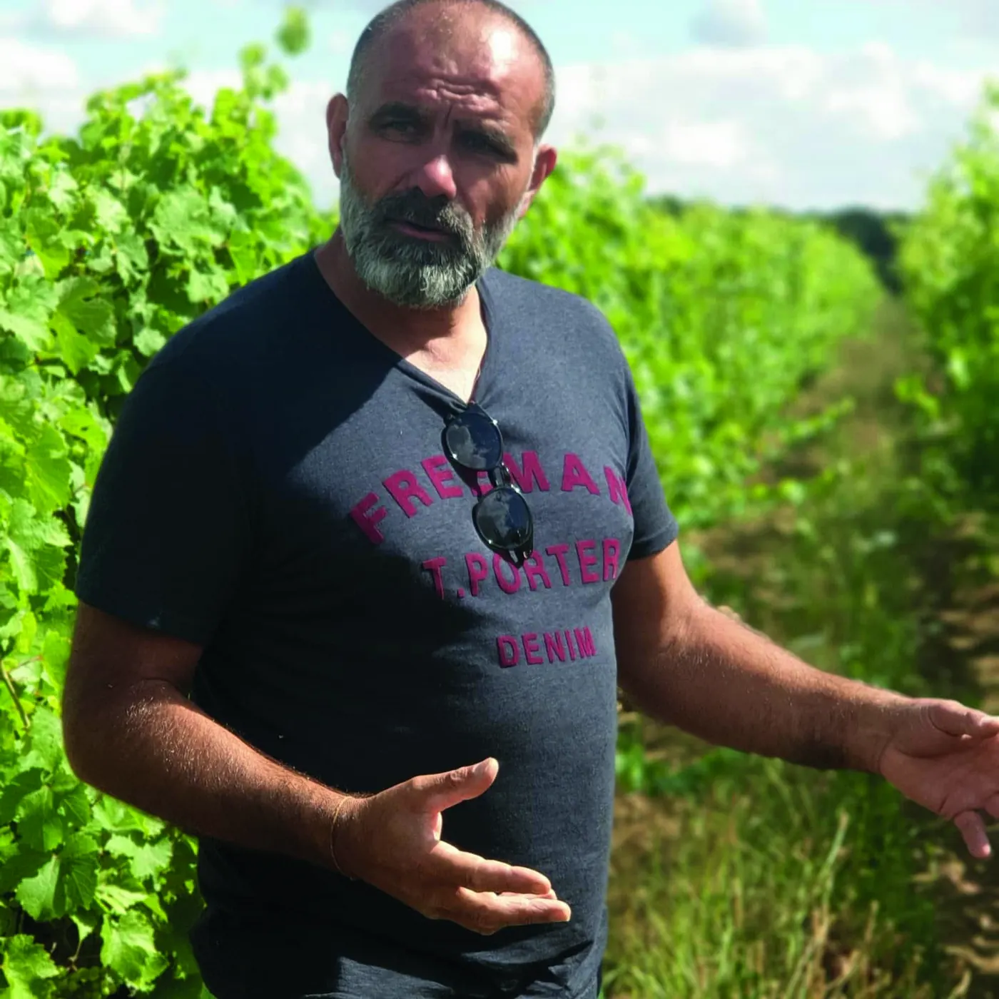 Clos de l’Écotard