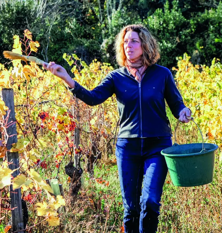 Clos des Capucins
